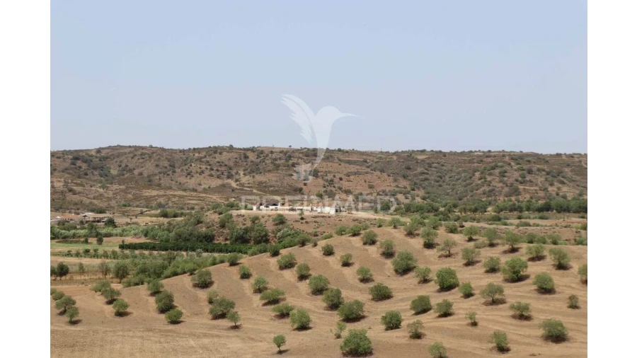 Terreno para Venda em Castro Marim Foto 8