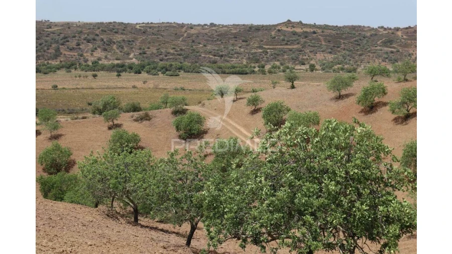 Terreno para Venda em Castro Marim Foto 15