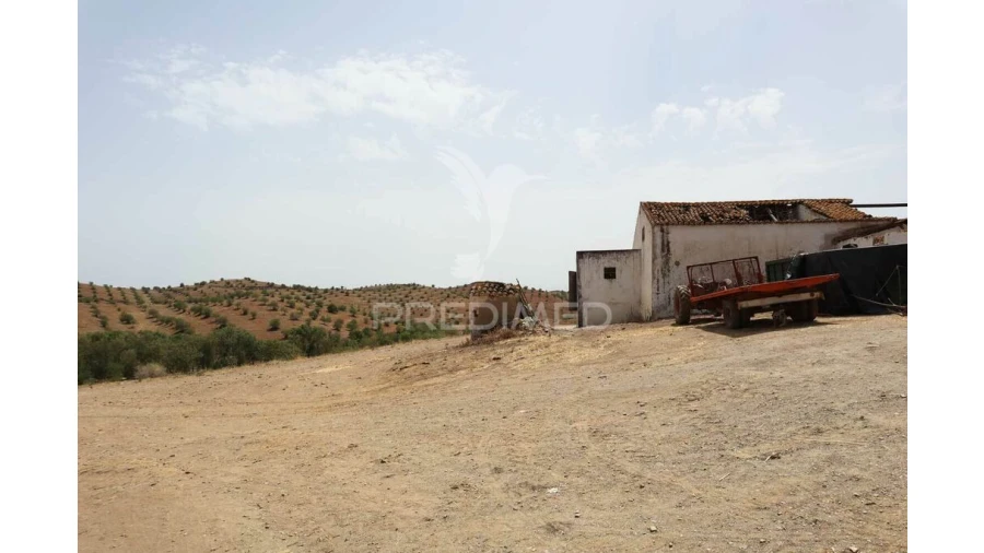 Terreno para Venda em Castro Marim Foto 14