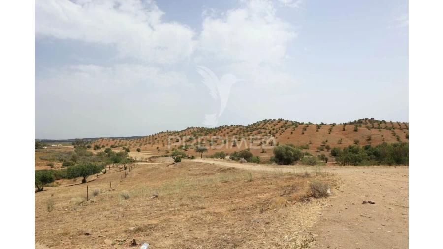 Terreno para Venda em Castro Marim Foto 16
