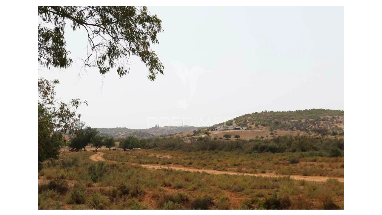 Terreno para Venda em Castro Marim Foto 19