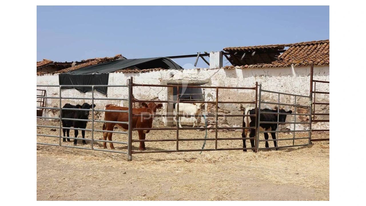 Terreno para Venda em Castro Marim Foto 11