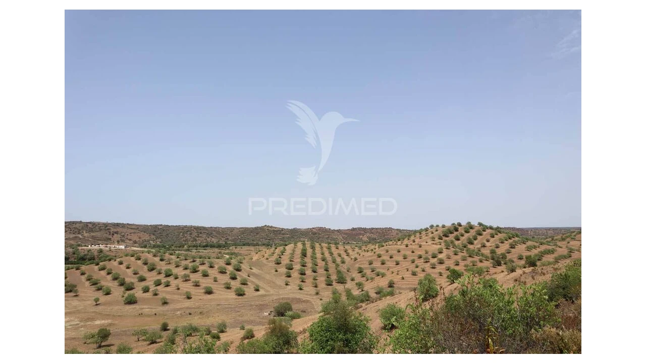 Terreno para Venda em Castro Marim Foto 10