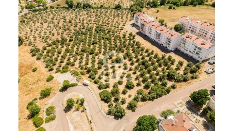Terreno para Venda em Assunção, Ajuda, Salvador e Santo Ildefonso
