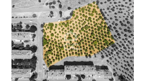 Terreno para Venda em Assunção, Ajuda, Salvador e Santo Ildefonso