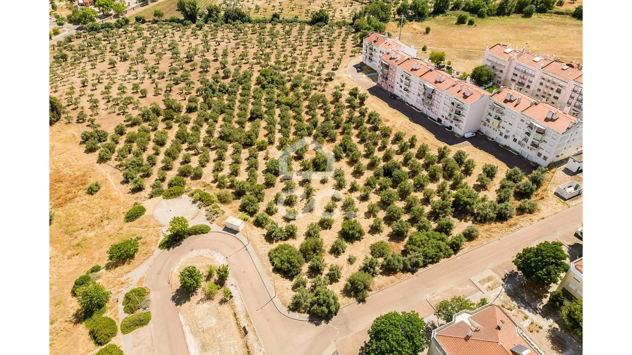 Terreno para Venda em Assunção, Ajuda, Salvador e Santo Ildefonso Foto 9