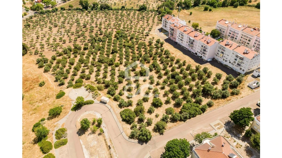 Terreno para Venda em Assunção, Ajuda, Salvador e Santo Ildefonso Foto 9