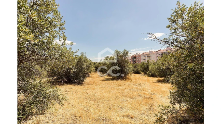 Terreno para Venda em Assunção, Ajuda, Salvador e Santo Ildefonso Foto 16
