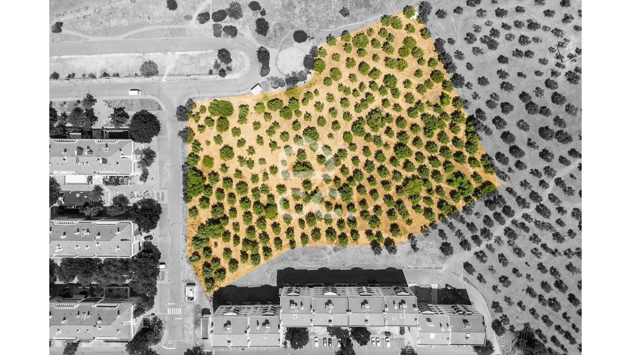 Terreno para Venda em Assunção, Ajuda, Salvador e Santo Ildefonso Foto 1