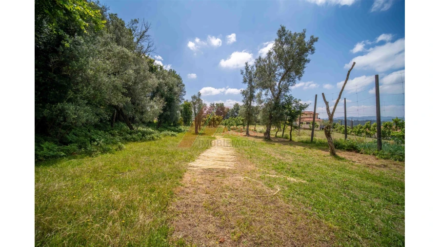 Moradia T3 para Venda em Revelhe Foto 14