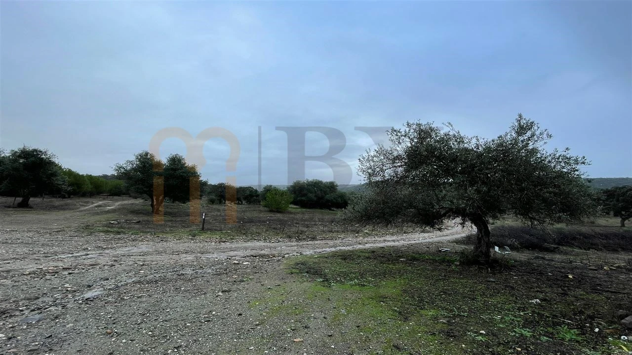 Quinta T4 para Venda em Serpa (Salvador e Santa Maria) Foto 8