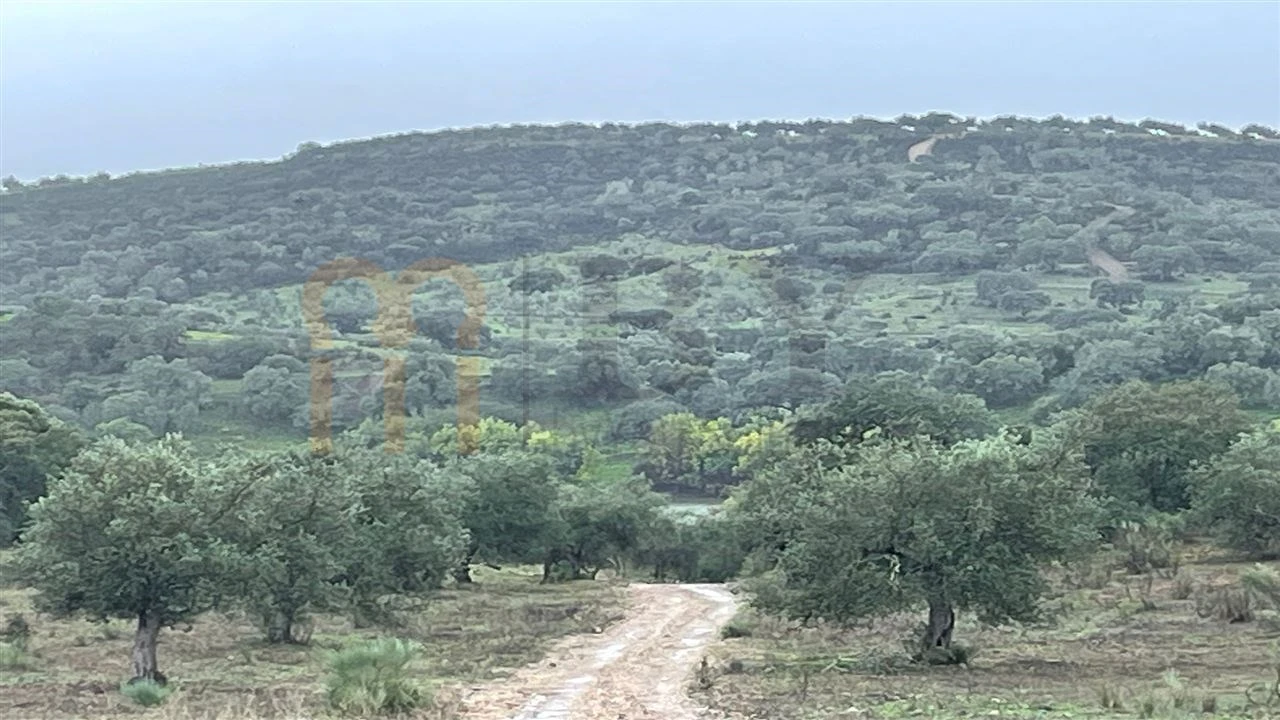 Quinta T4 para Venda em Serpa (Salvador e Santa Maria) Foto 9