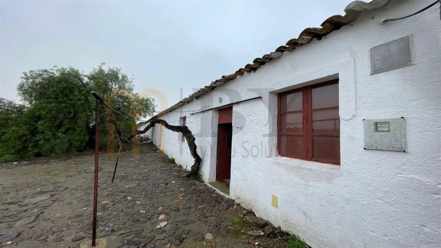 Quinta T4 para Venda em Serpa (Salvador e Santa Maria) Foto 1