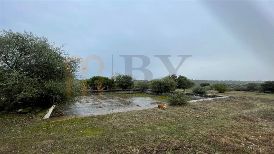 Quinta T4 para Venda em Serpa (Salvador e Santa Maria) Foto 7