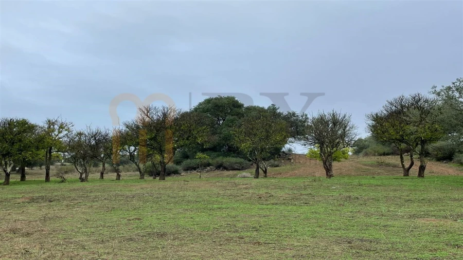 Quinta T4 para Venda em Serpa (Salvador e Santa Maria) Foto 13