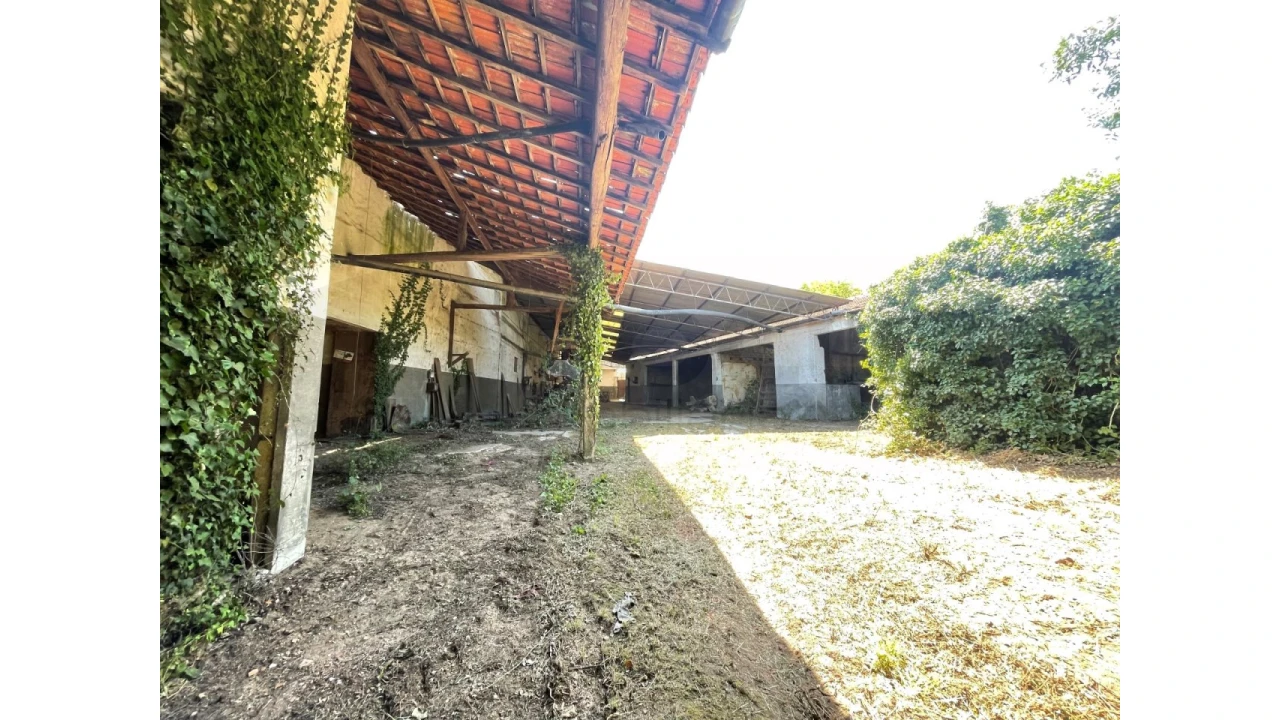 Moradia T2 para Venda em Amoreira da Gândara, Paredes do Bairro e Ancas Foto 3