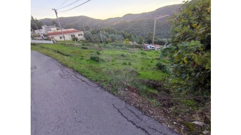 Terreno para Venda em Torres do Mondego