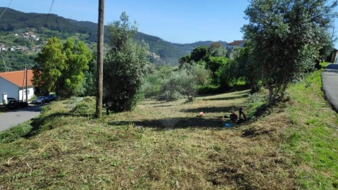 Terreno para Venda em Torres do Mondego