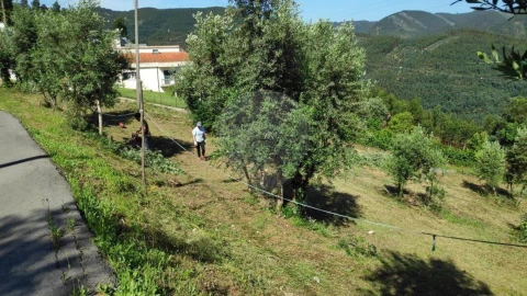Terreno para Venda em Torres do Mondego
