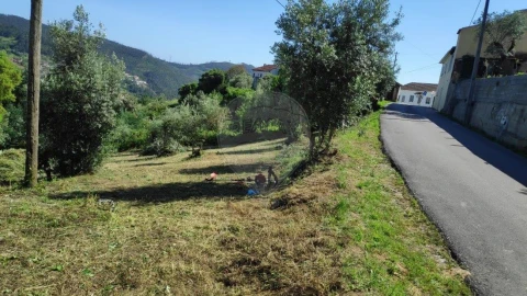Terreno para Venda em Torres do Mondego