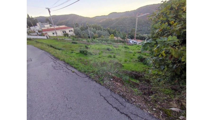 Terreno para Venda em Torres do Mondego Foto 8