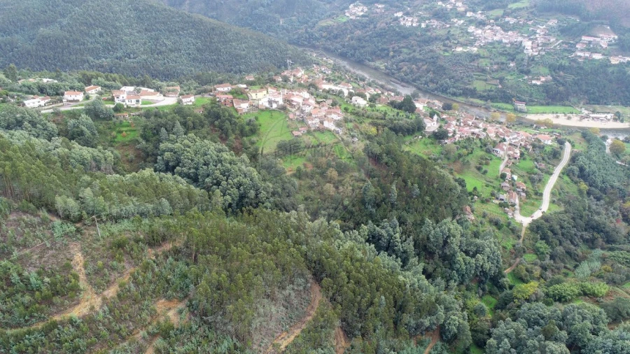 Terreno para Venda em Torres do Mondego Foto 22