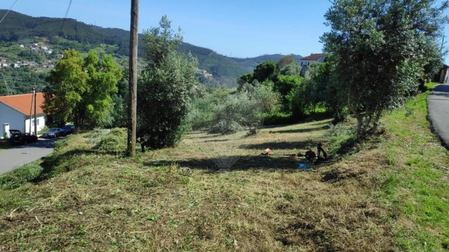 Terreno para Venda em Torres do Mondego Foto 4