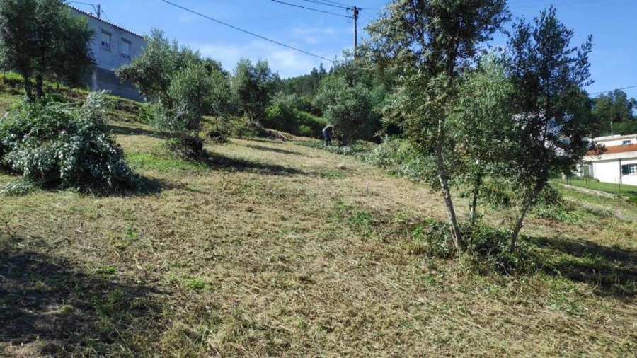 Terreno para Venda em Torres do Mondego Foto 5