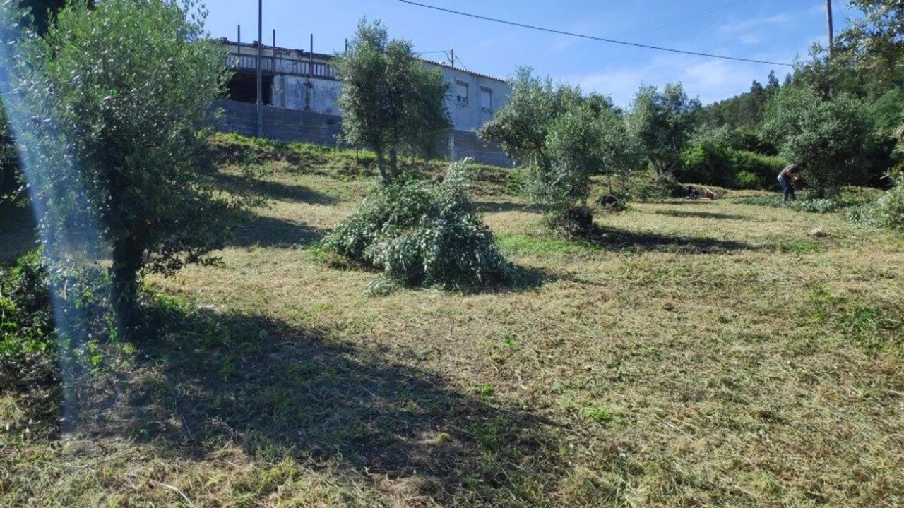 Terreno para Venda em Torres do Mondego Foto 6