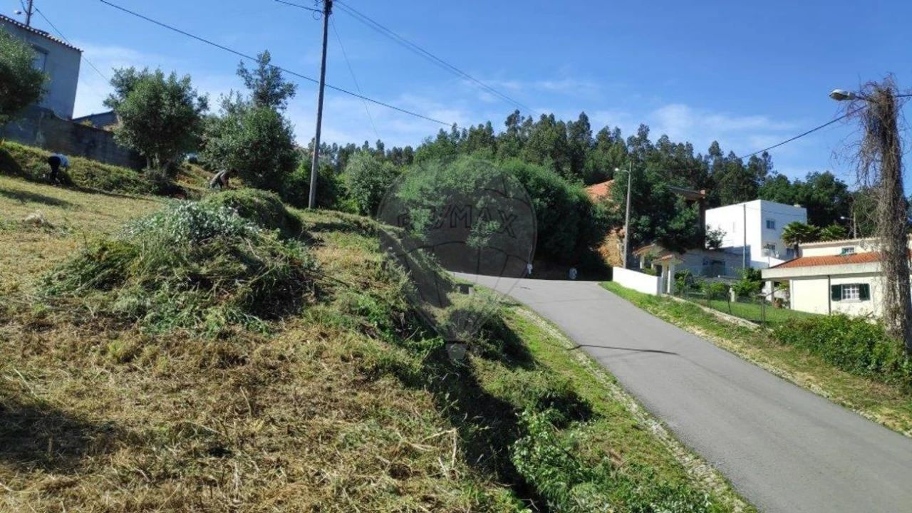 Terreno para Venda em Torres do Mondego Foto 7