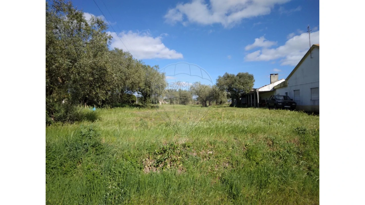Terreno para Venda em Santo Varão Foto 2