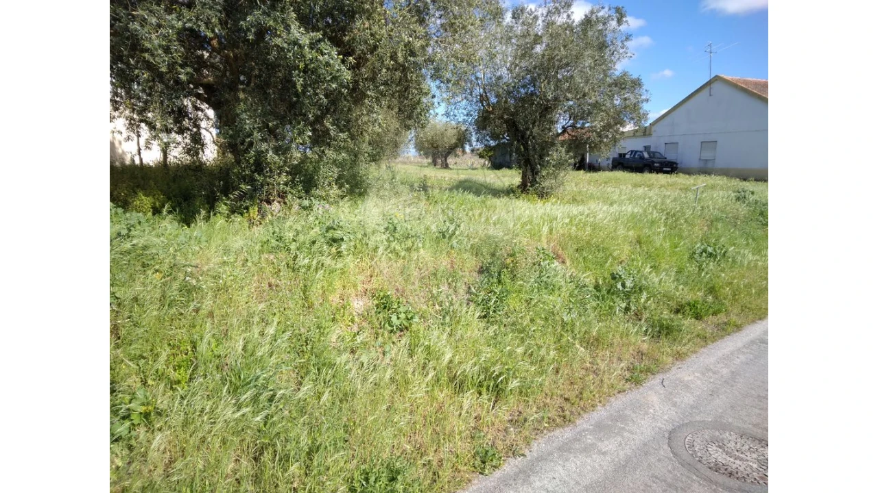 Terreno para Venda em Santo Varão Foto 4