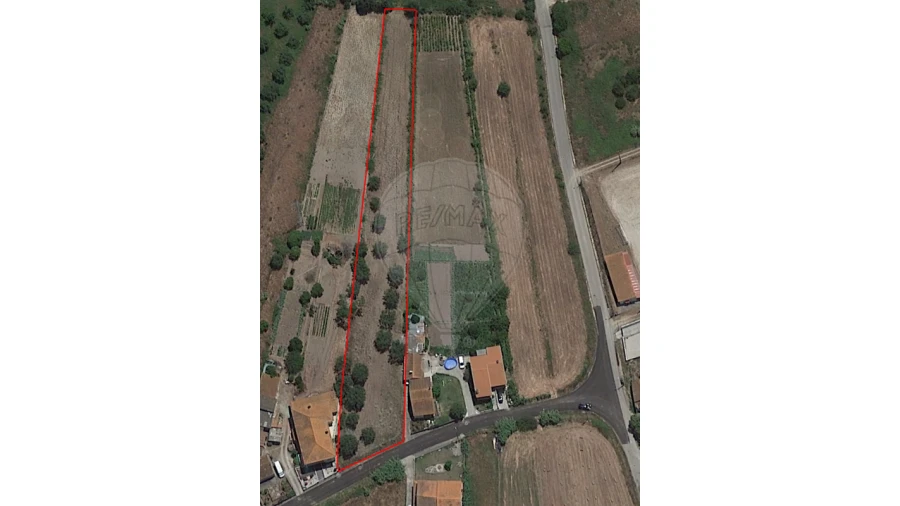 Terreno para Venda em Santo Varão Foto 1