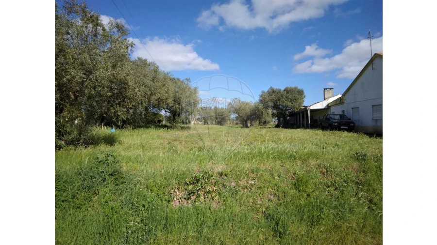 Terreno para Venda em Santo Varão Foto 2