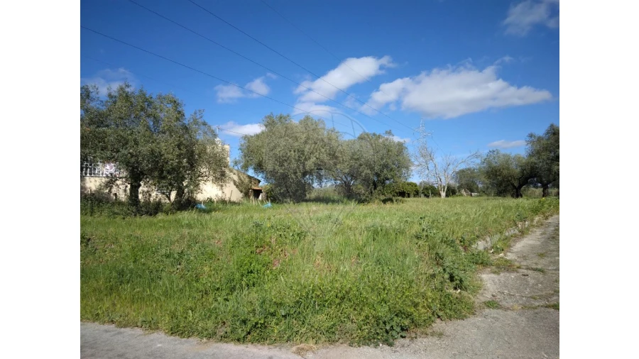 Terreno para Venda em Santo Varão Foto 3