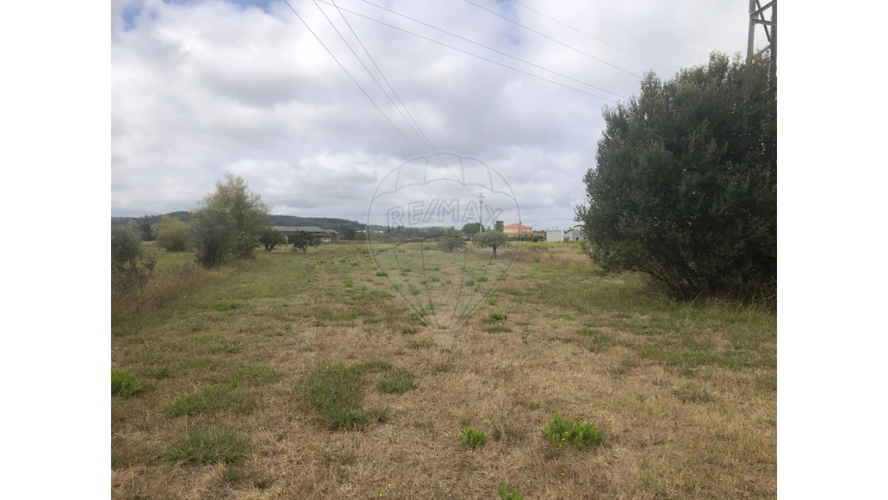 Terreno para Venda em Santo Varão Foto 4