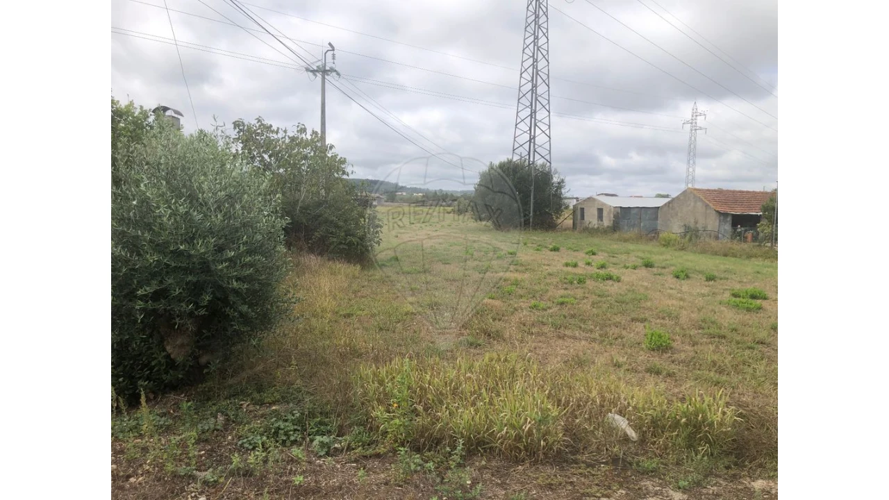 Terreno para Venda em Santo Varão Foto 3