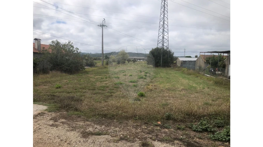 Terreno para Venda em Santo Varão Foto 2