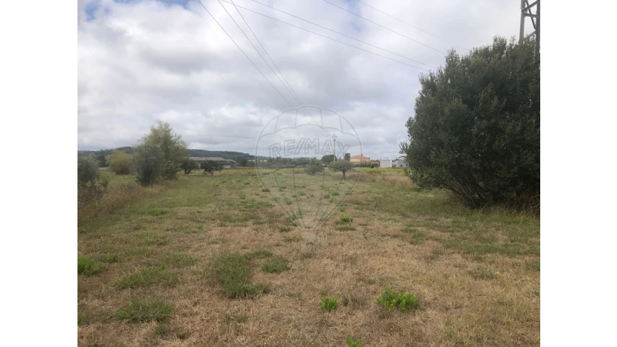 Terreno para Venda em Santo Varão Foto 4
