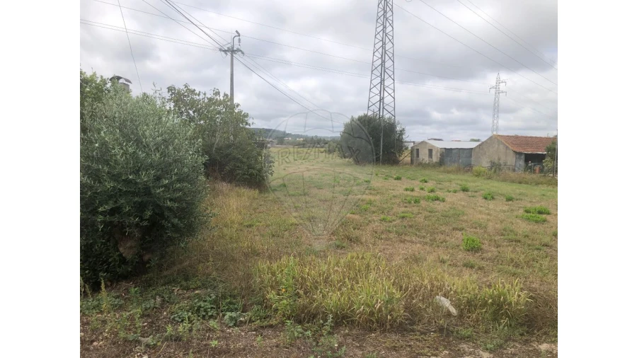 Terreno para Venda em Santo Varão Foto 3