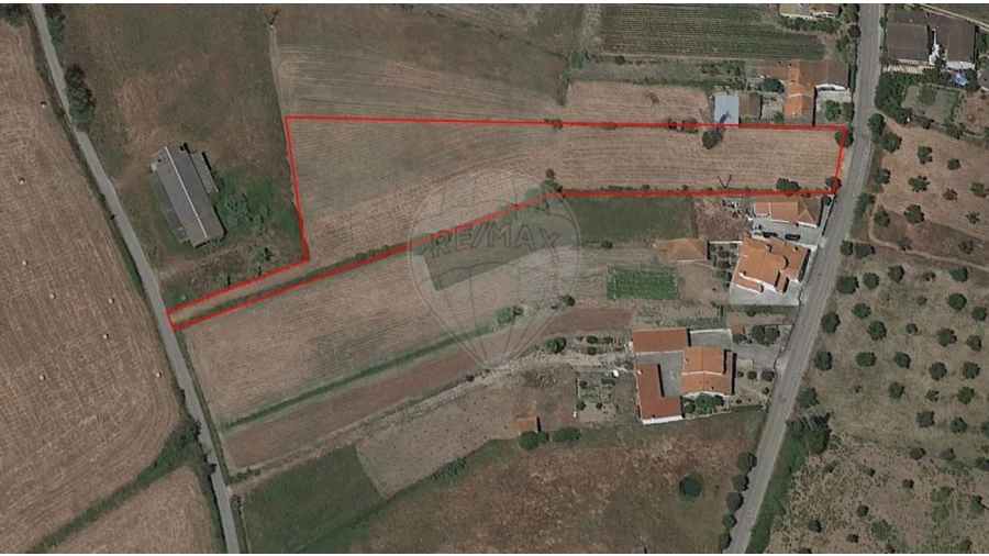 Terreno para Venda em Santo Varão Foto 1