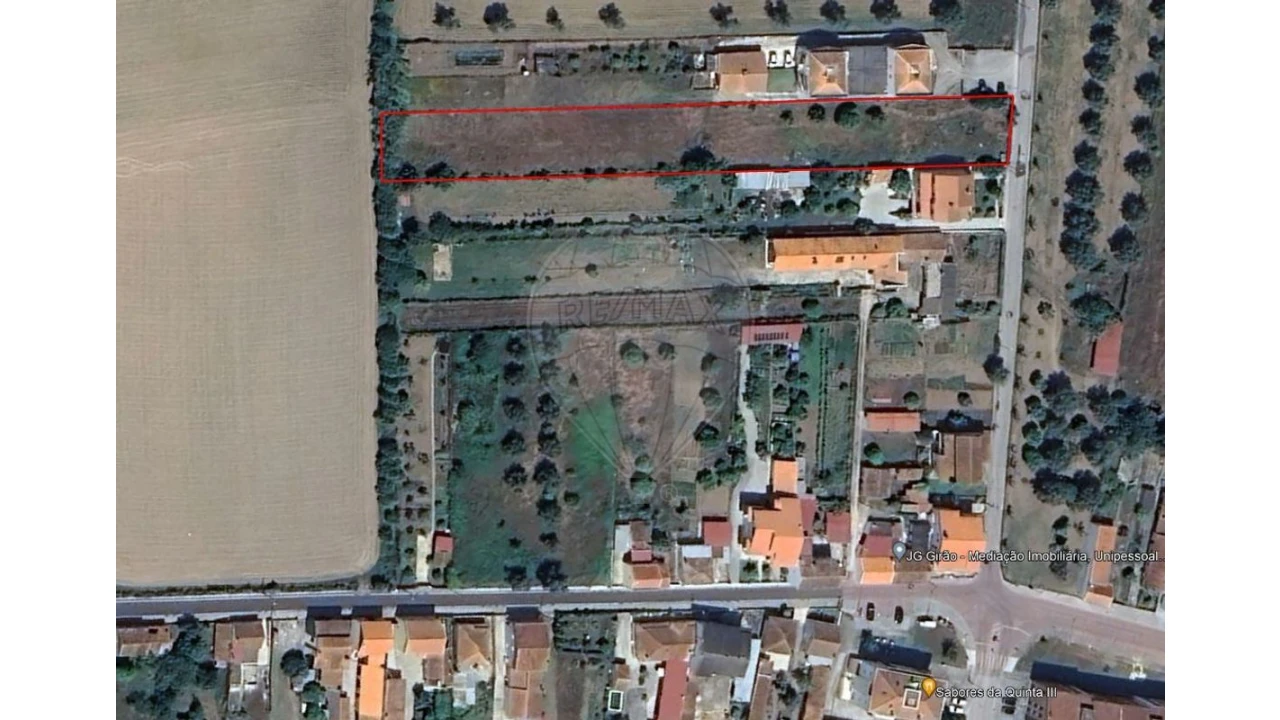 Terreno para Venda em Santo Varão Foto 4