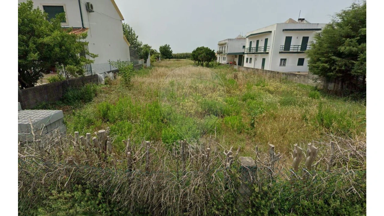 Terreno para Venda em Santo Varão Foto 1