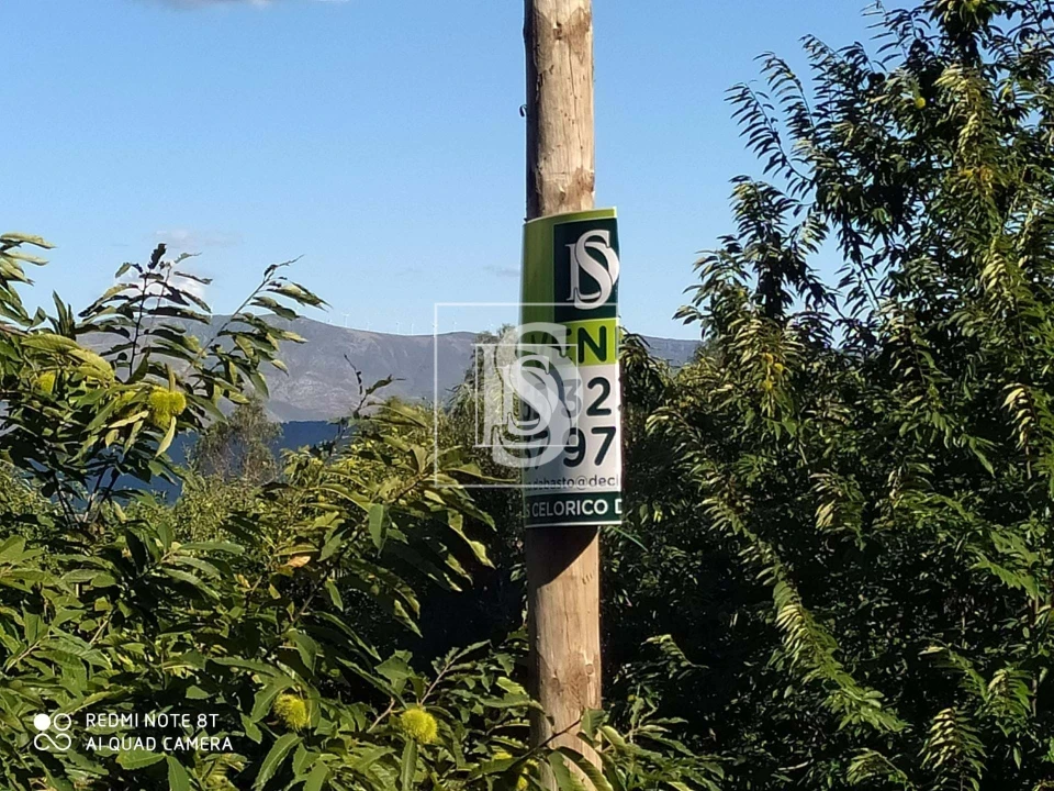 Terreno para Venda em Arnoia Foto 4