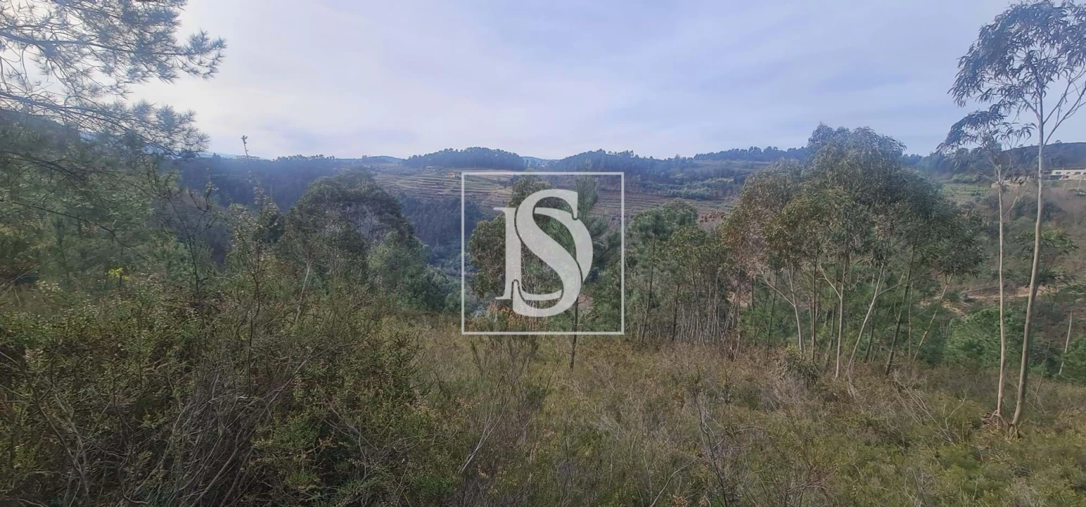 Moradia T2 para Venda em Britelo, Gémeos e Ourilhe Foto 14