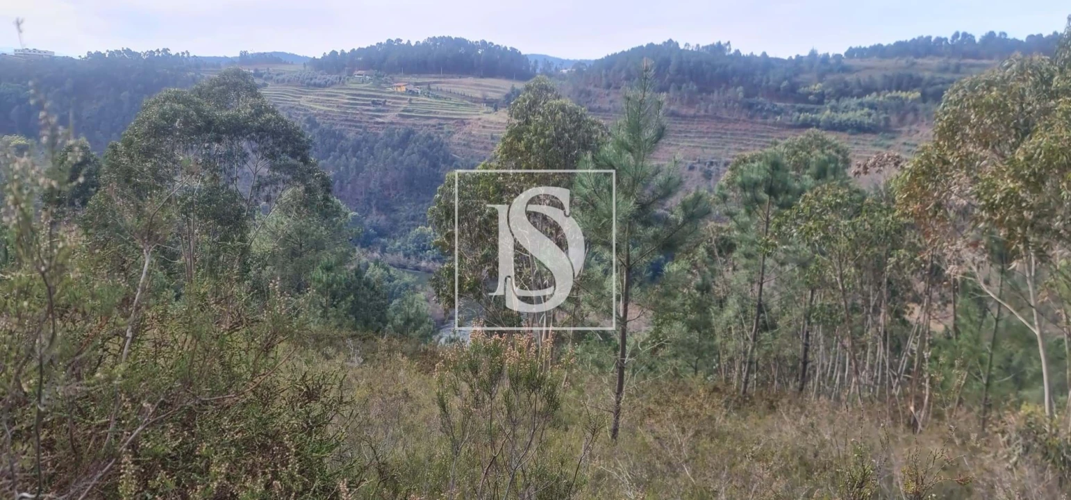 Moradia T2 para Venda em Britelo, Gémeos e Ourilhe Foto 13