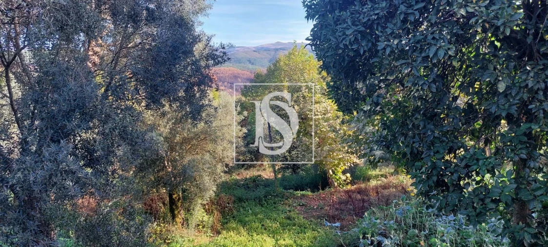 Moradia T2 para Venda em Britelo, Gémeos e Ourilhe Foto 18