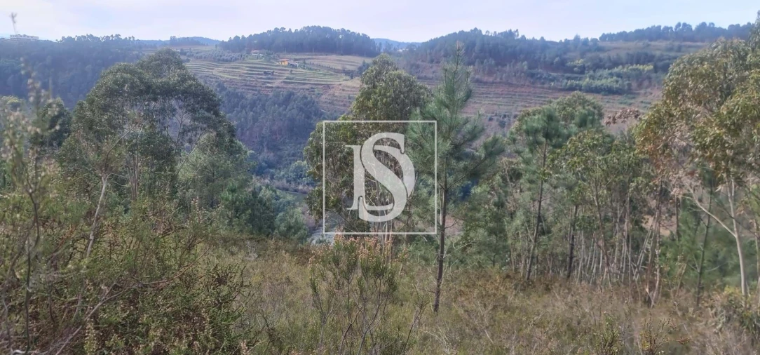 Moradia T2 para Venda em Britelo, Gémeos e Ourilhe Foto 13