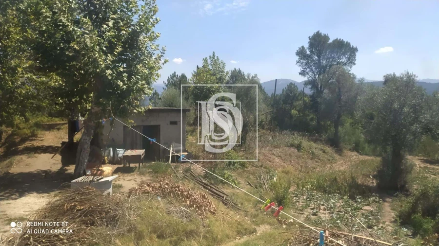 Moradia T2 para Venda em Britelo, Gémeos e Ourilhe Foto 9