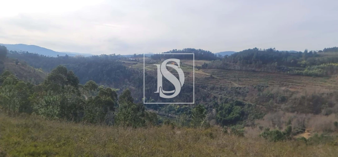 Moradia T2 para Venda em Britelo, Gémeos e Ourilhe Foto 15